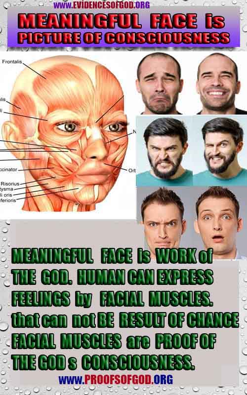 Proofs of god, god-evidences, god-real, god-exists, god-signs, god-proofs, evidences of god