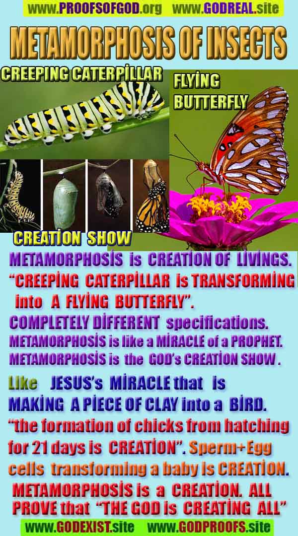 Proofs of god, god-evidences, god-real, god-exists, god-signs, god-proofs, evidences of god