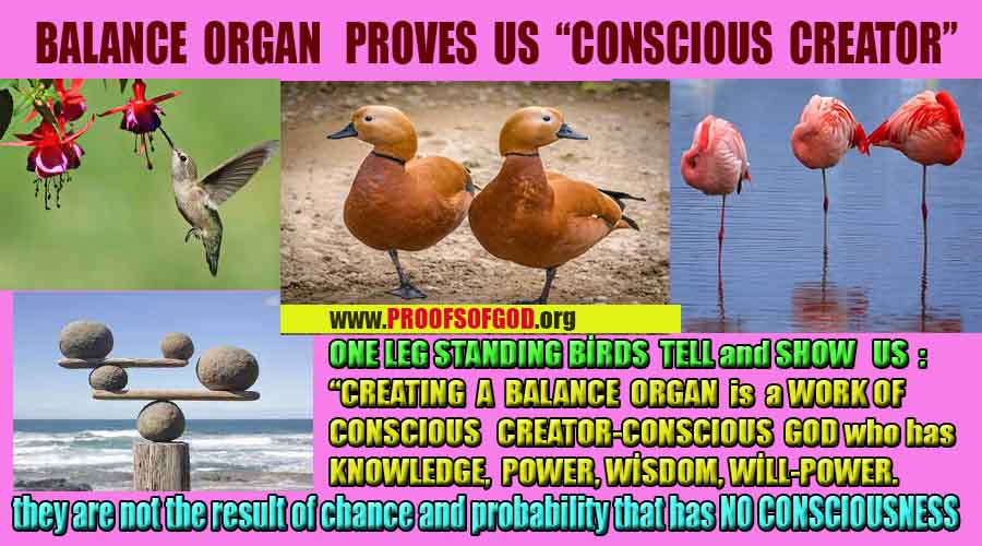 Proofs of god, god-evidences, god-real, god-exists, god-signs, god-proofs, evidences of god