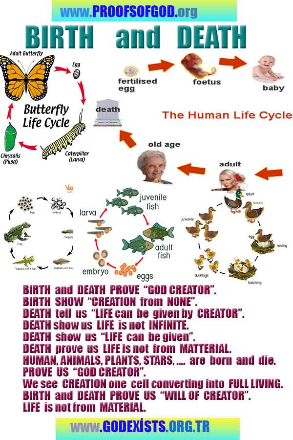 Proofs of god, god-evidences, god-real, god-exists, god-signs, god-proofs, evidences of god