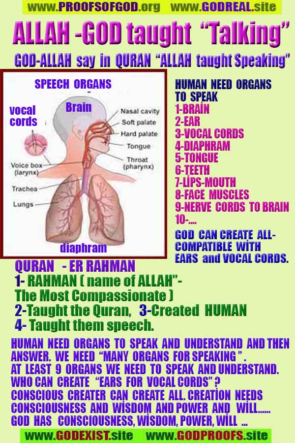 Proofs of god, god-evidences, god-real, god-exists, god-signs, god-proofs, evidences of god